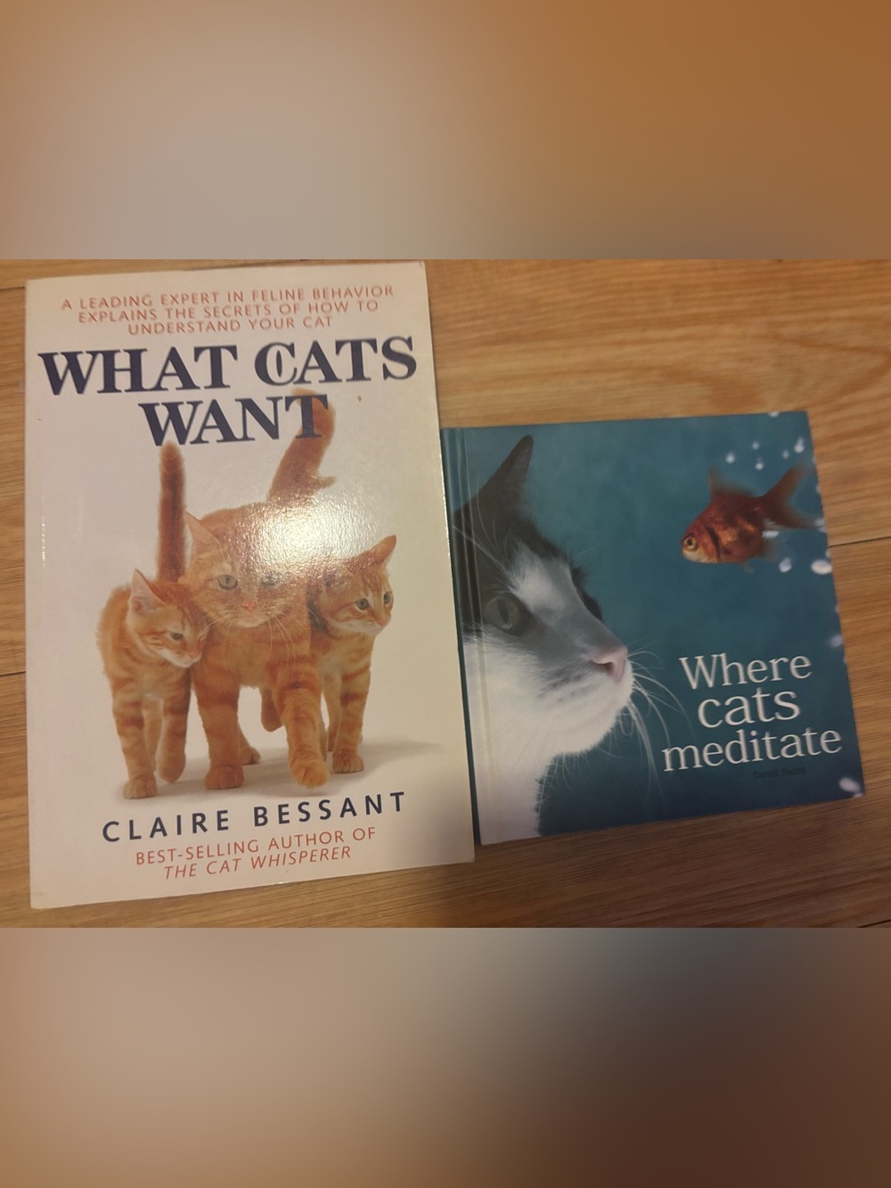 Cat Care Book Set - White & Orange books